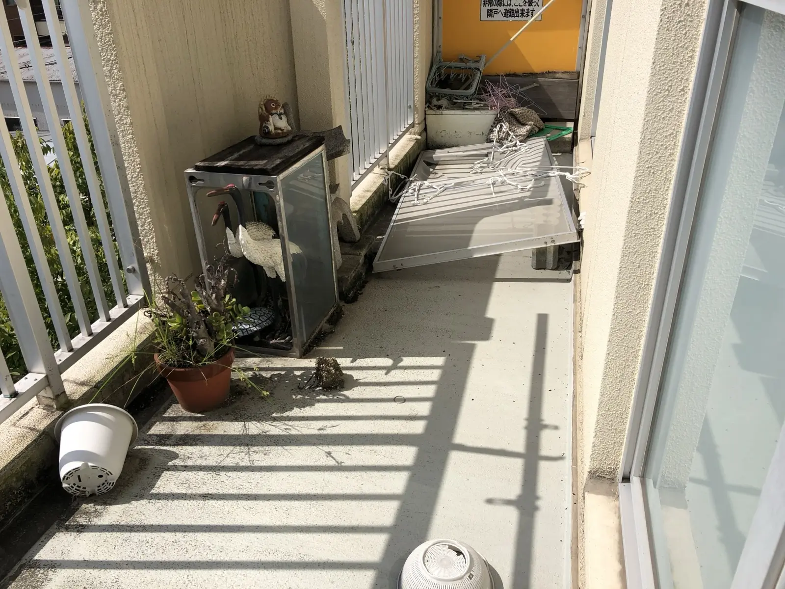 ベランダや庭のものも